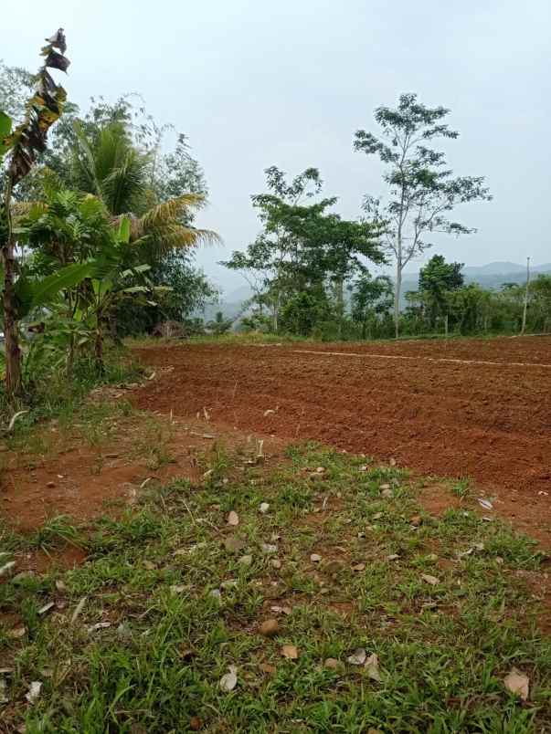 jual murah tanah perkebunan di campaka cianjur