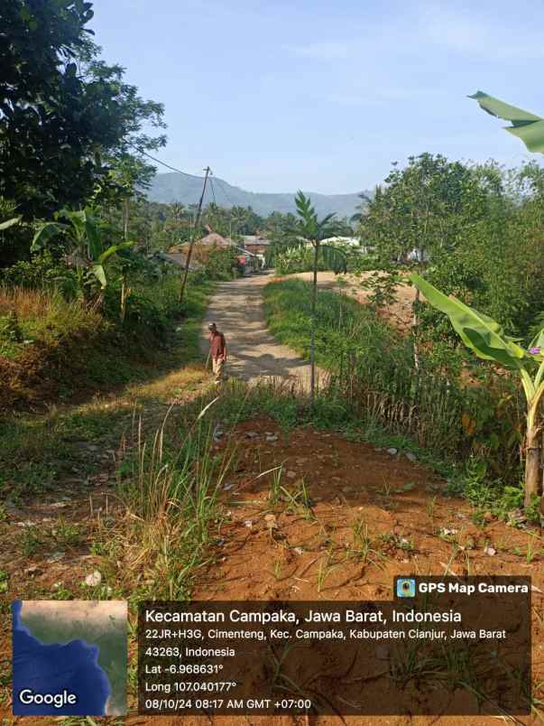 jual murah tanah perkebunan di campaka cianjur