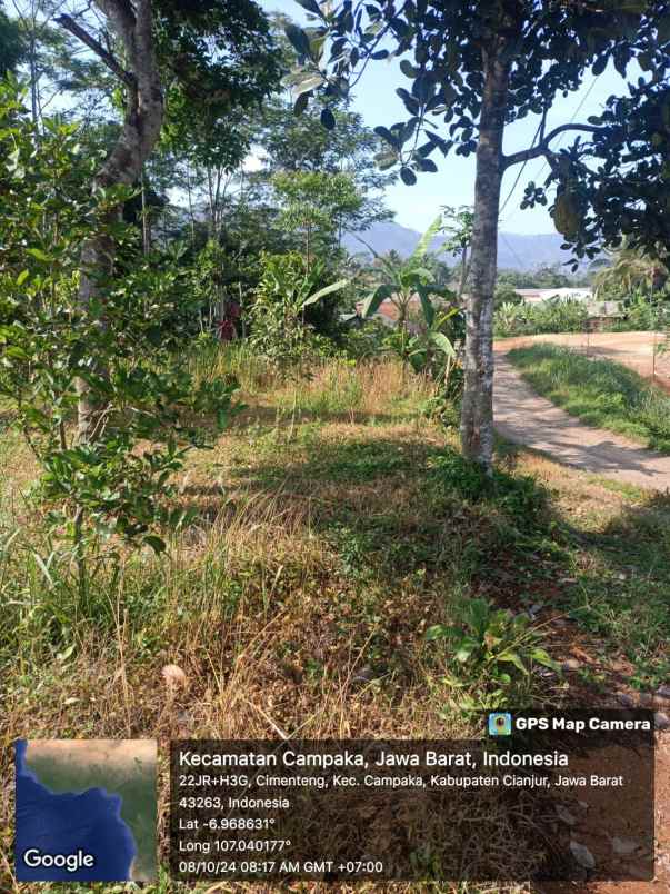 jual murah tanah perkebunan di campaka cianjur