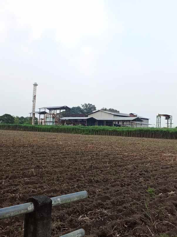 jual pabrik gula pasir strategis di daerah kab kediri