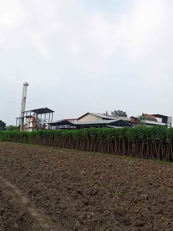 jual pabrik gula pasir strategis di daerah kab kediri