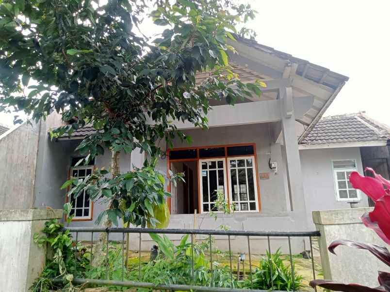jual rumah malang kota murah meriah 200m2