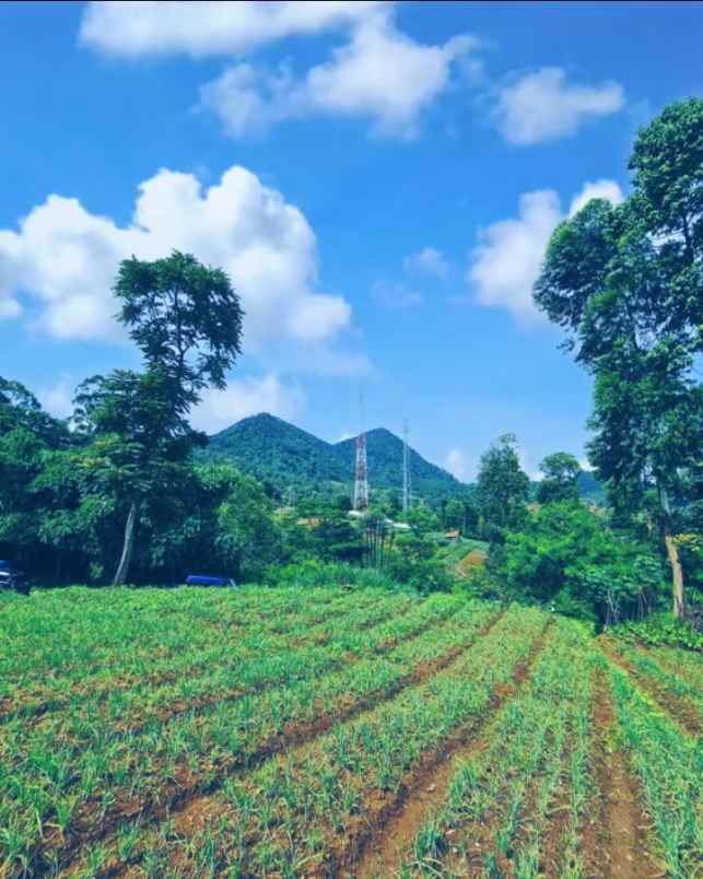 jual tanah bandung strategis jalur wisata