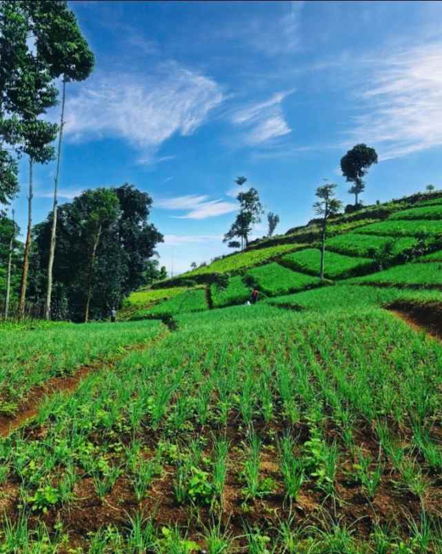 jual tanah bandung strategis jalur wisata