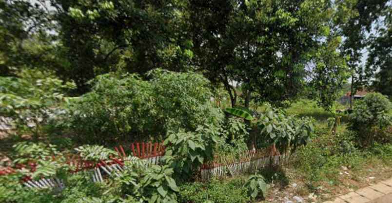 jual tanah di ciomas tembong