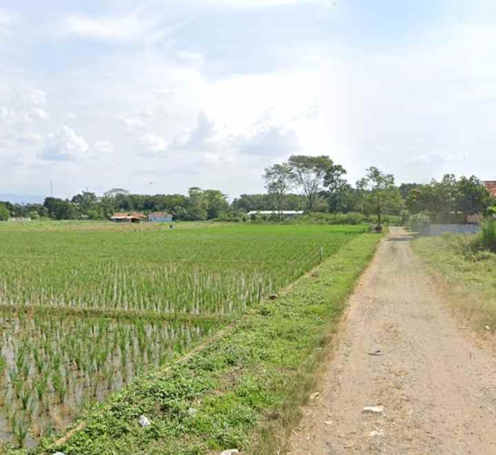 jual tanah kawasan industri desa padaasih subang