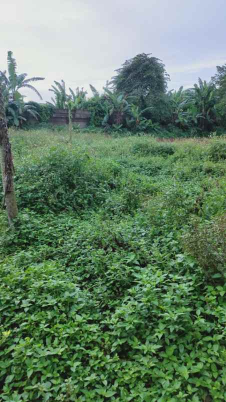 jual tanah kosong luas di bojong kamal legok tangerang