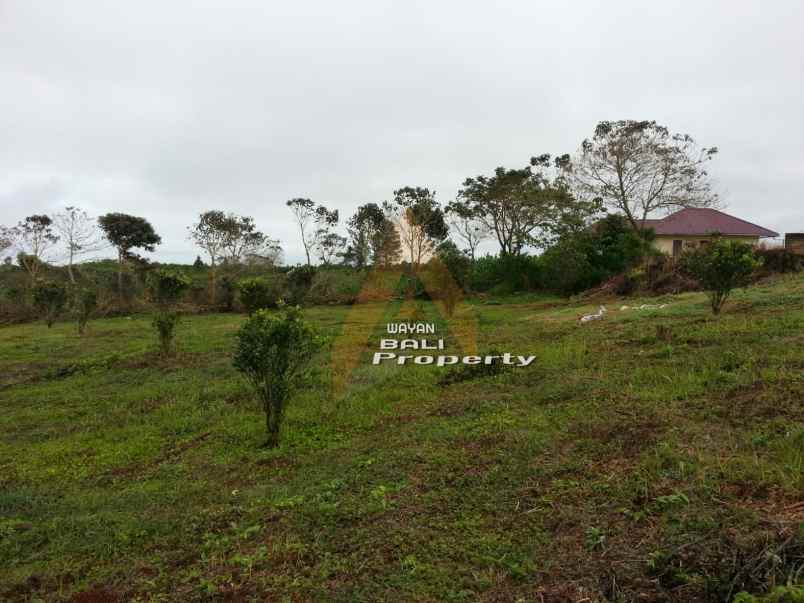 jual tanah puncak siosar medan sumatra utara