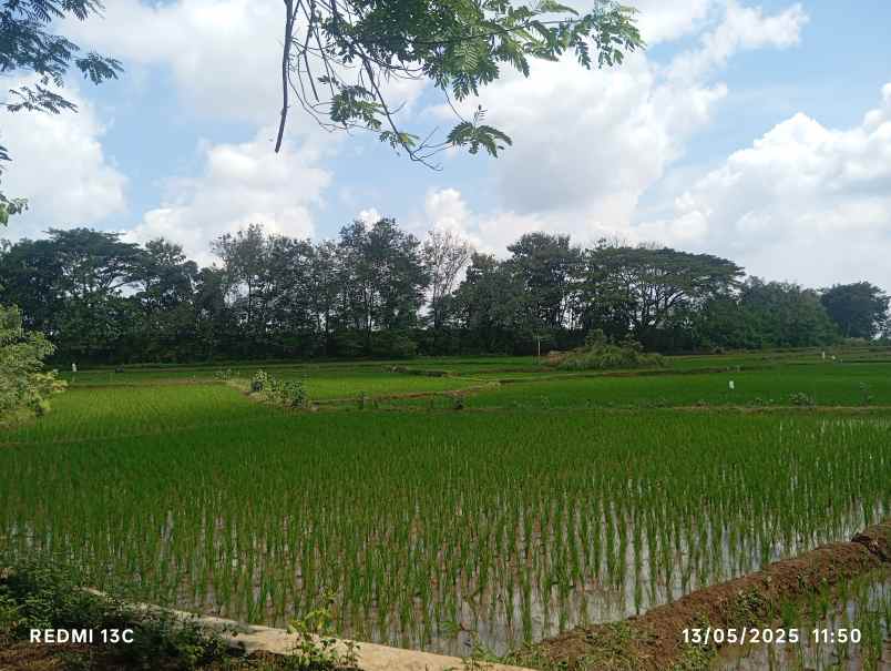 lahan 3ha pemukiman karanganyar kota 450rb m2