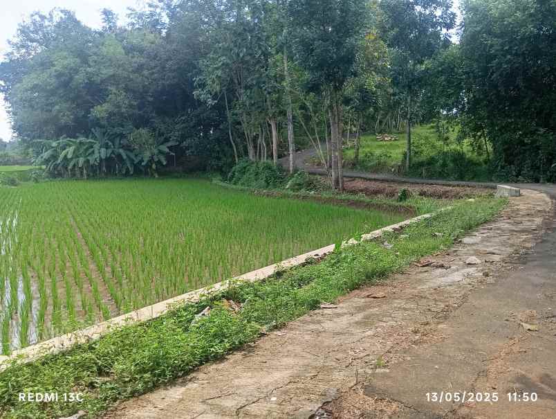 lahan 3ha pemukiman karanganyar kota 450rb m2