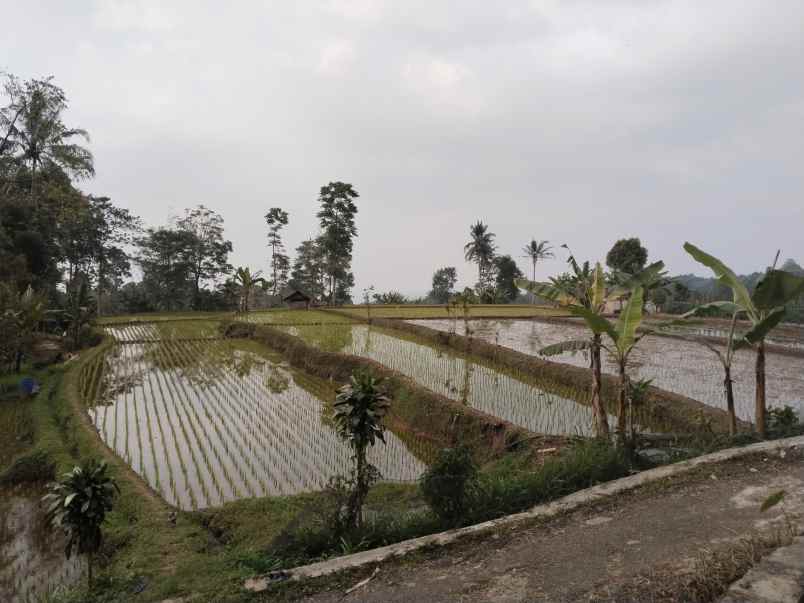 lahan mata air sagalaherang subang jawa barat