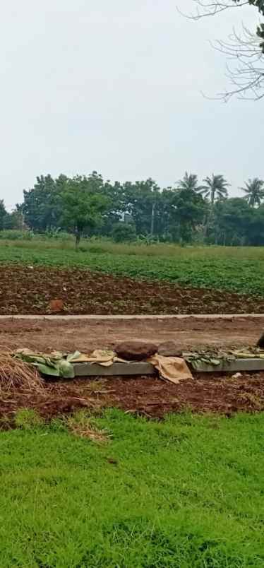 lahan produktiv pinggir jln desa