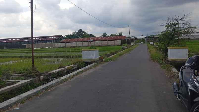 rumah bonus tanah kolam ikan 1300m2 800jt nego