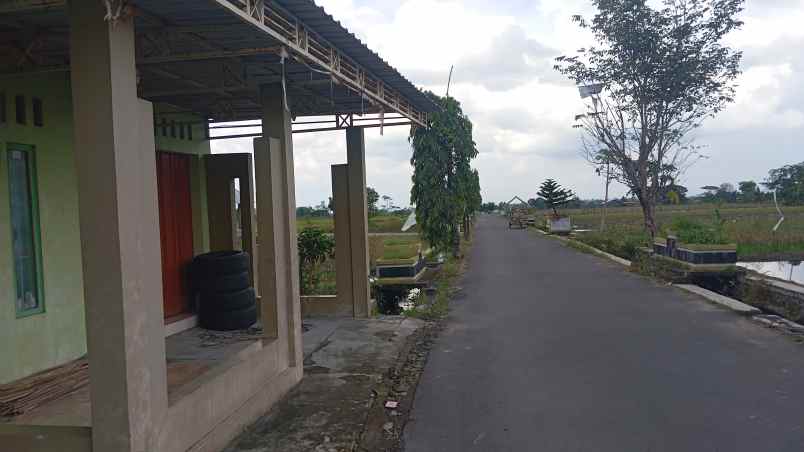 rumah bonus tanah kolam ikan 1300m2 800jt nego