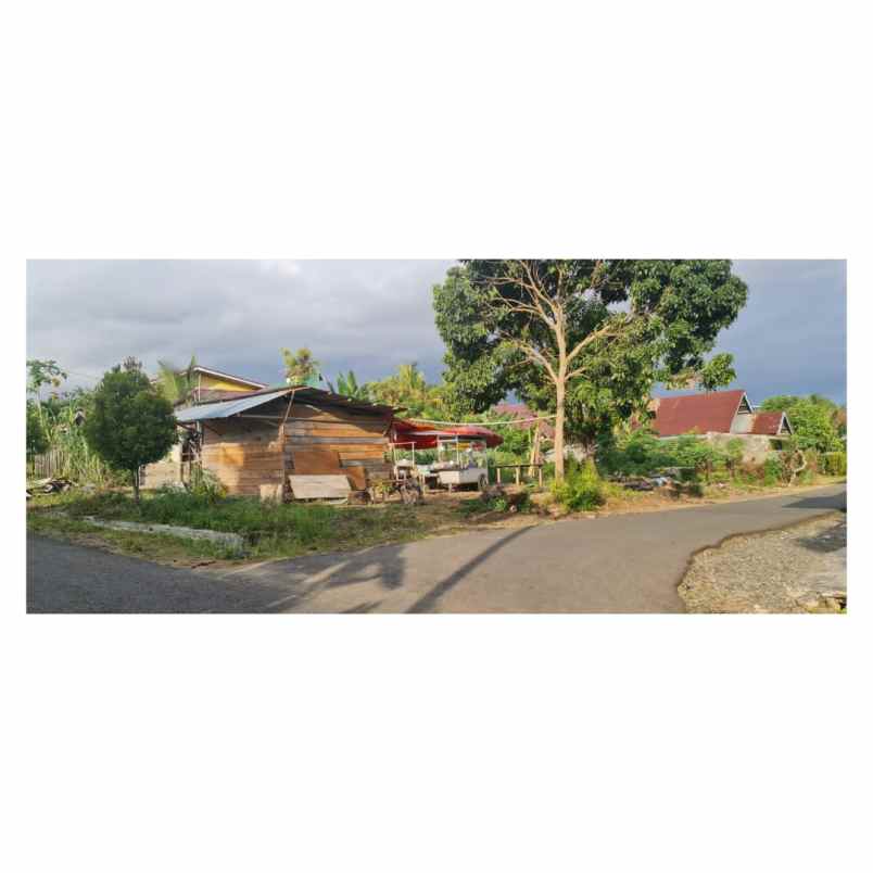 rumah jalan hibrida 7 sidomulyo