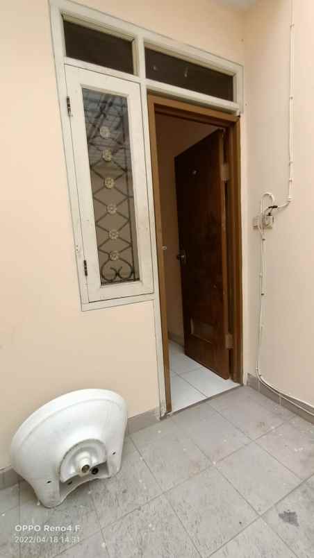 rumah kelapa kopyor kelapa gading