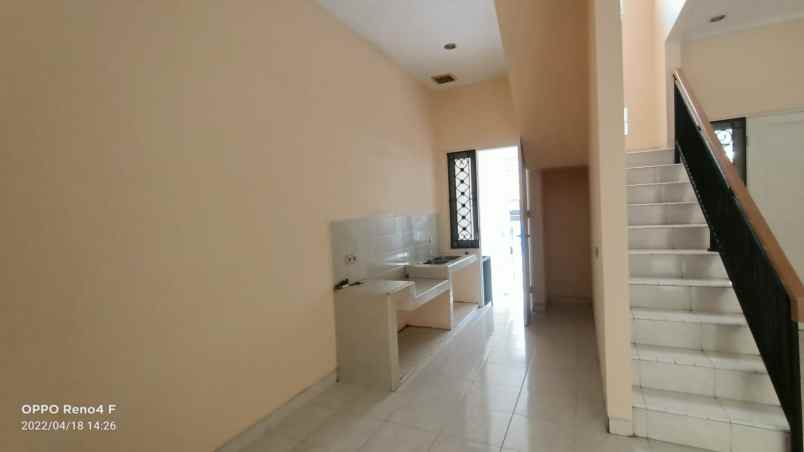 rumah kelapa kopyor kelapa gading