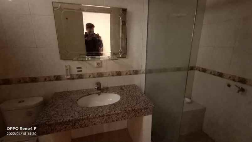 rumah kelapa kopyor kelapa gading