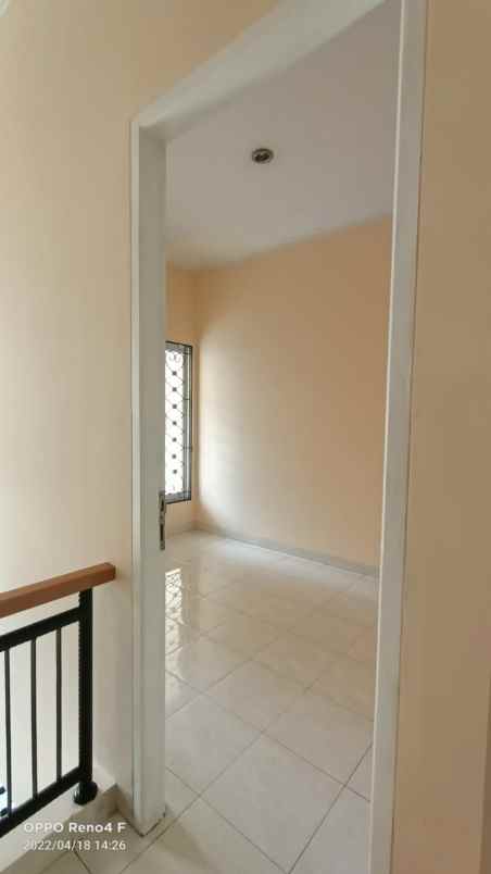 rumah kelapa kopyor kelapa gading