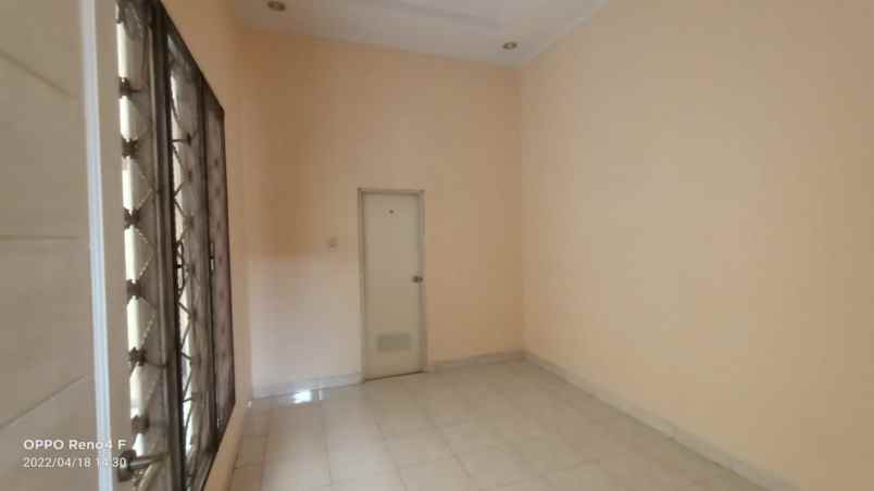 rumah kelapa kopyor kelapa gading