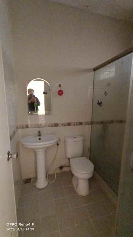 rumah kelapa kopyor kelapa gading