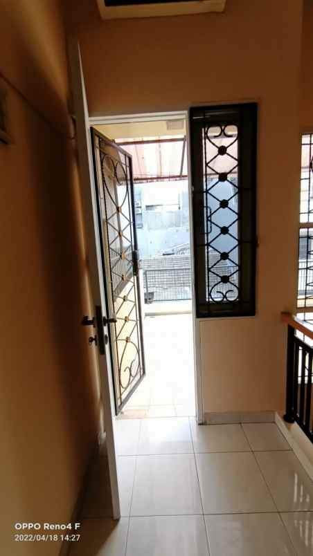 rumah kelapa kopyor kelapa gading