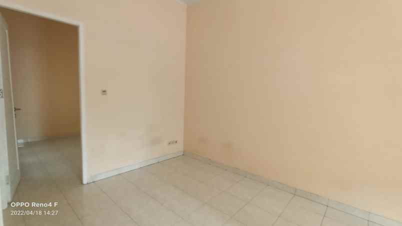 rumah kelapa kopyor kelapa gading