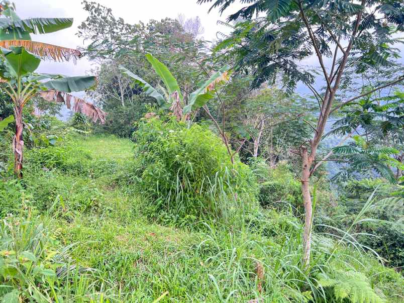 tanah 3780m2 view cantik kemuning karanganyar