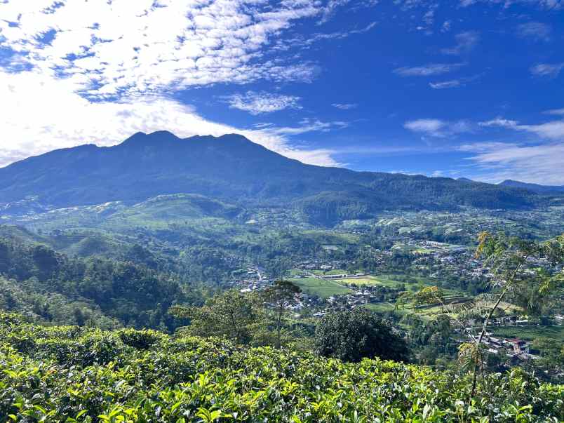 tanah 3780m2 view cantik kemuning karanganyar