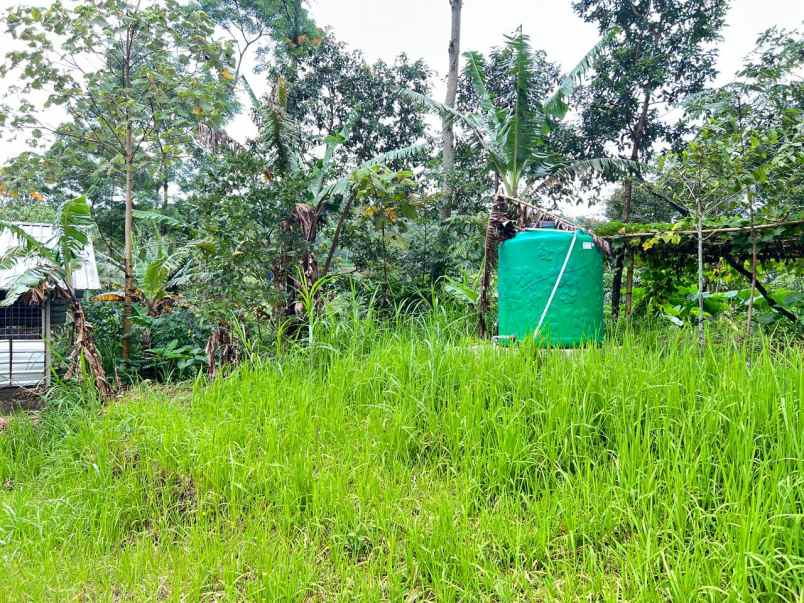 tanah 3799m bonus villa kawasan wisata karanganyar