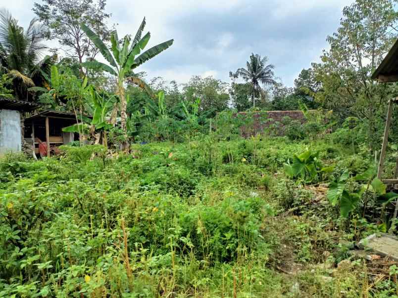 tanah 735m cocok bangun villa wisata karangpandan