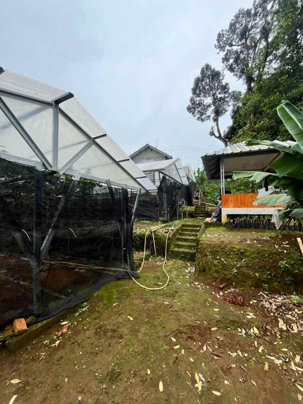 tanah bogor luas cocok untuk usaha