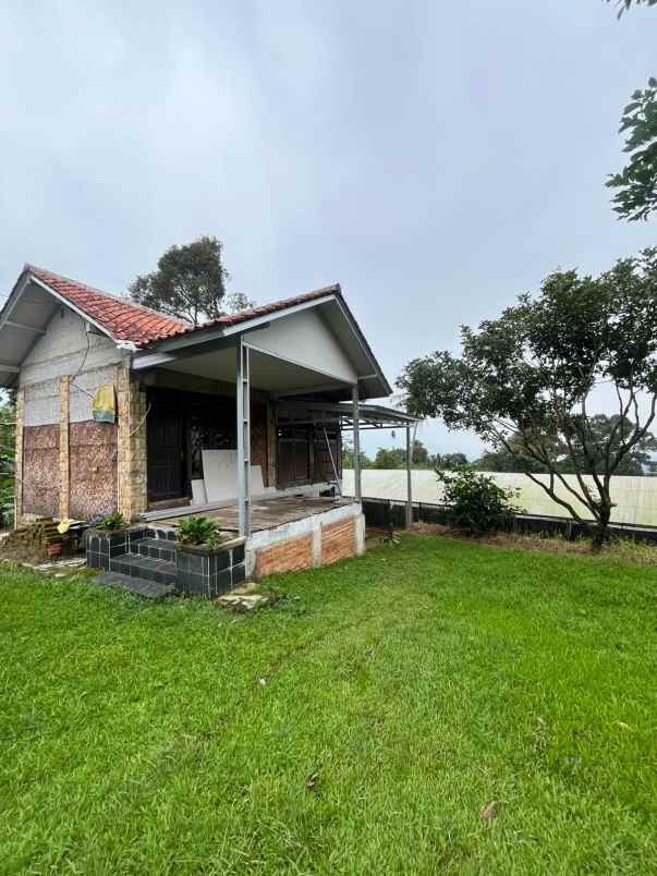 tanah bogor luas cocok untuk usaha