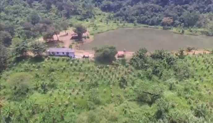 tanah dapat situ danau ada pohon buah nya subang