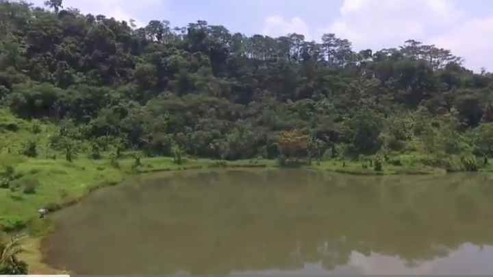 tanah dapat situ danau ada pohon buah nya subang
