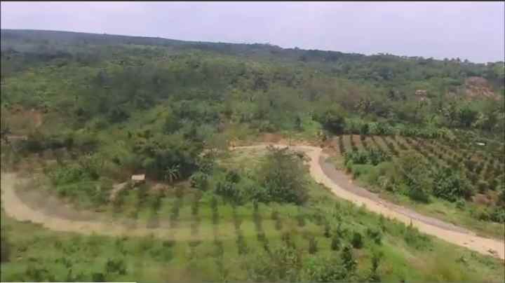 tanah dapat situ danau ada pohon buah nya subang