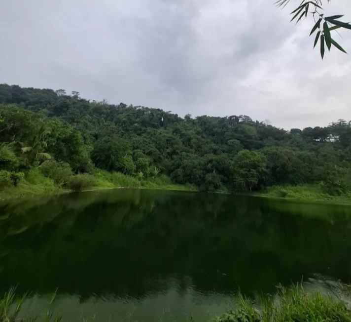 tanah dapat situ danau ada pohon buah nya subang