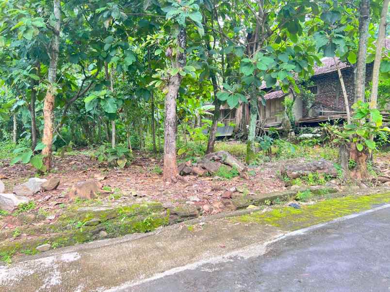 tanah datar 200jt cocok untuk hunian karanganyar