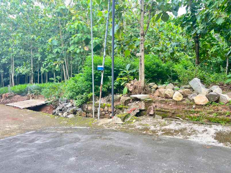 tanah datar 200jt cocok untuk hunian karanganyar