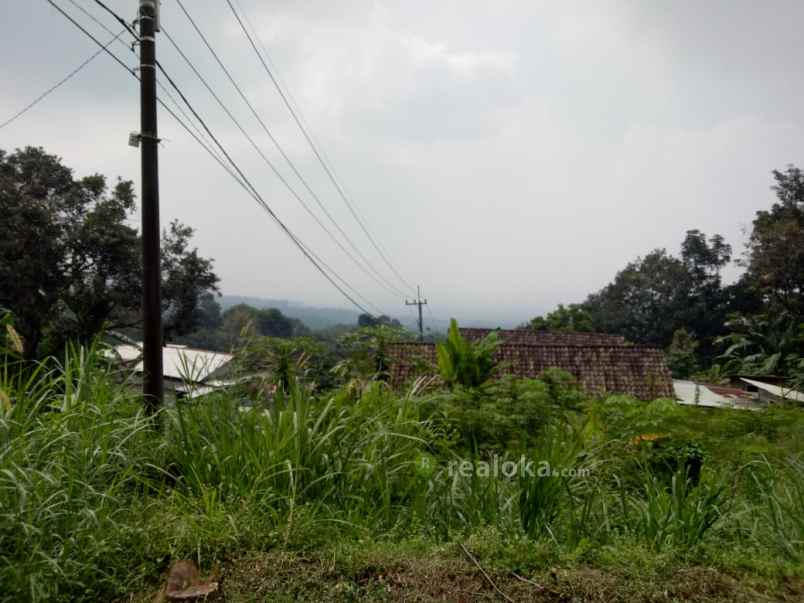 tanah dayurejo pandaan