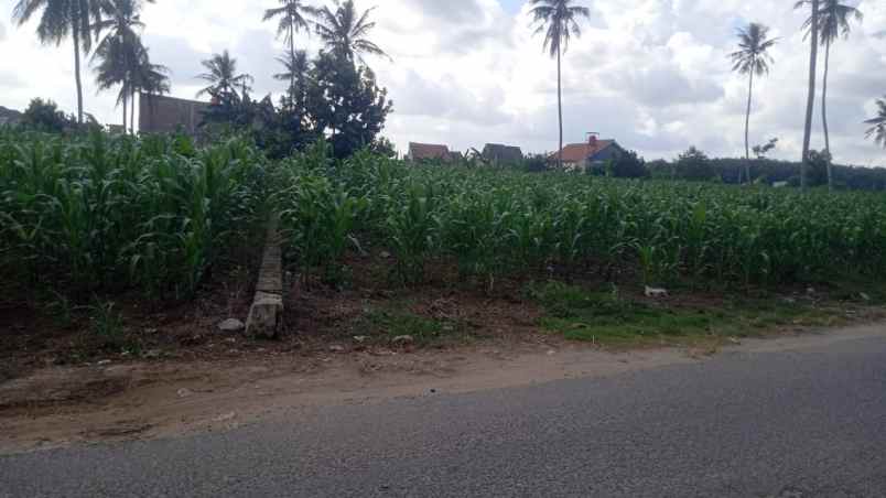 tanah di dekat pintu tol tera jati agung