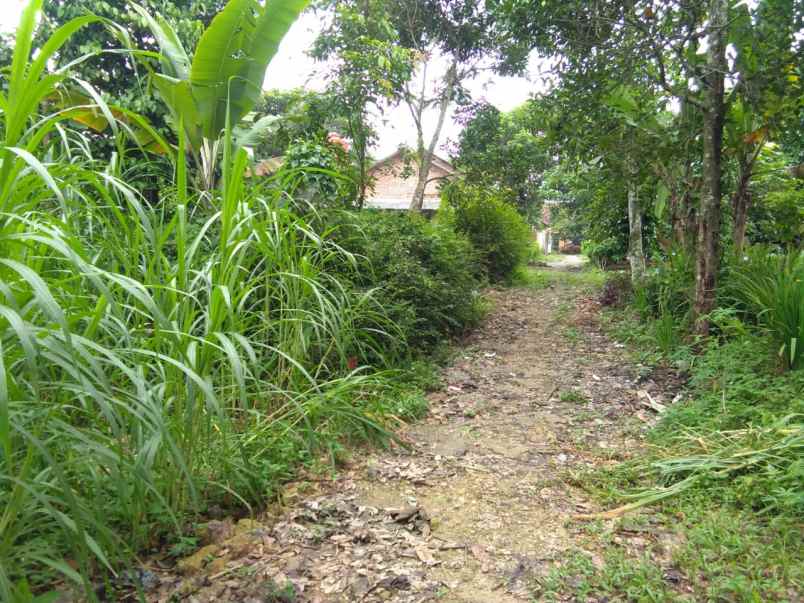 tanah di karang anyar jari agung luas 6200m shm