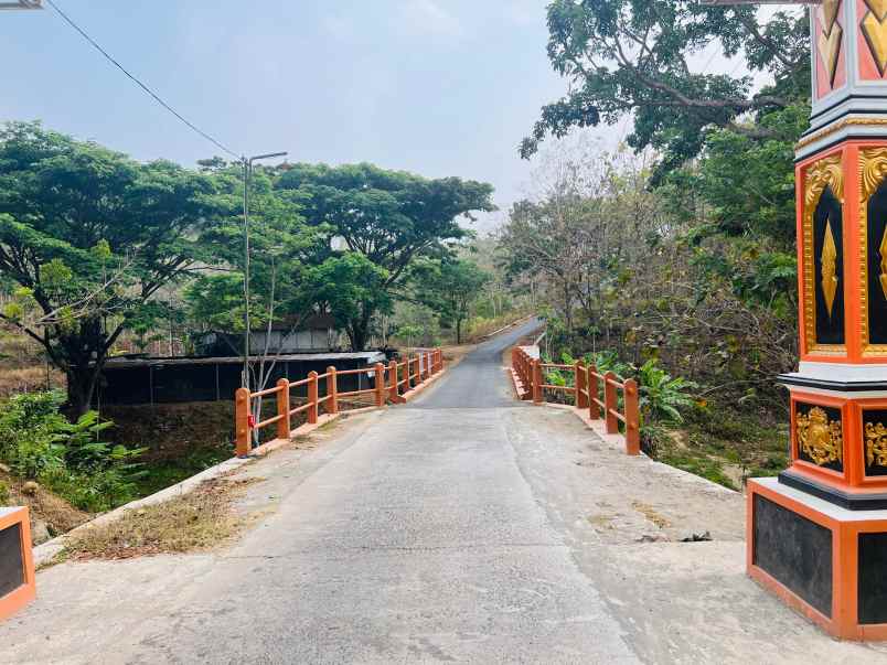 tanah investasi sambirejo sragen 1850m