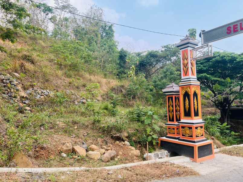 tanah investasi sambirejo sragen 1850m