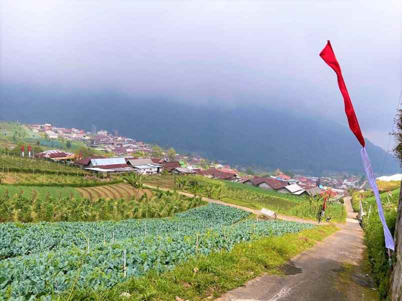 tanah istimewa gondosuli tawangmangu karanganyar