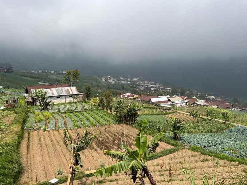 tanah istimewa gondosuli tawangmangu karanganyar