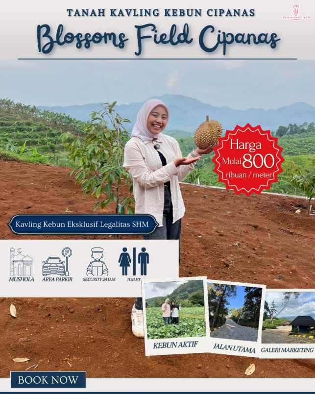 tanah kavling kebun di sukaresmi cianjur