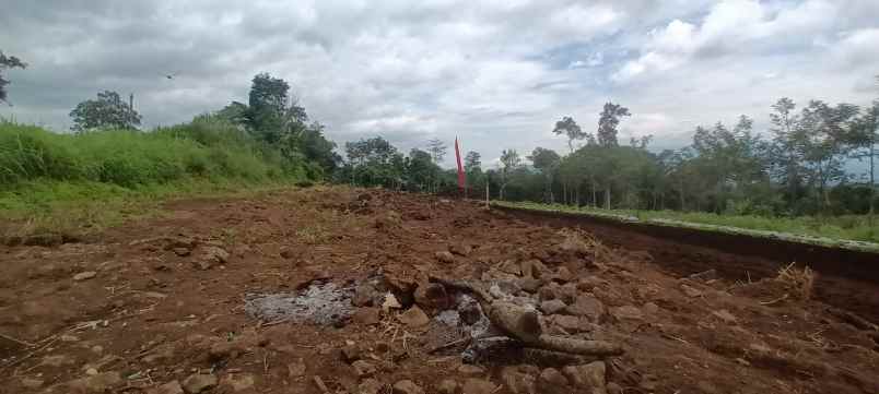 tanah kavling singosari pinggir jalan aspal