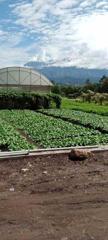 tanah kavling view pegunungan kota batu madewo apples