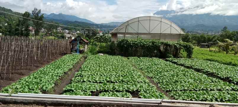tanah kavling view pegunungan kota batu madewo apples